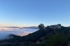 IMG_1396